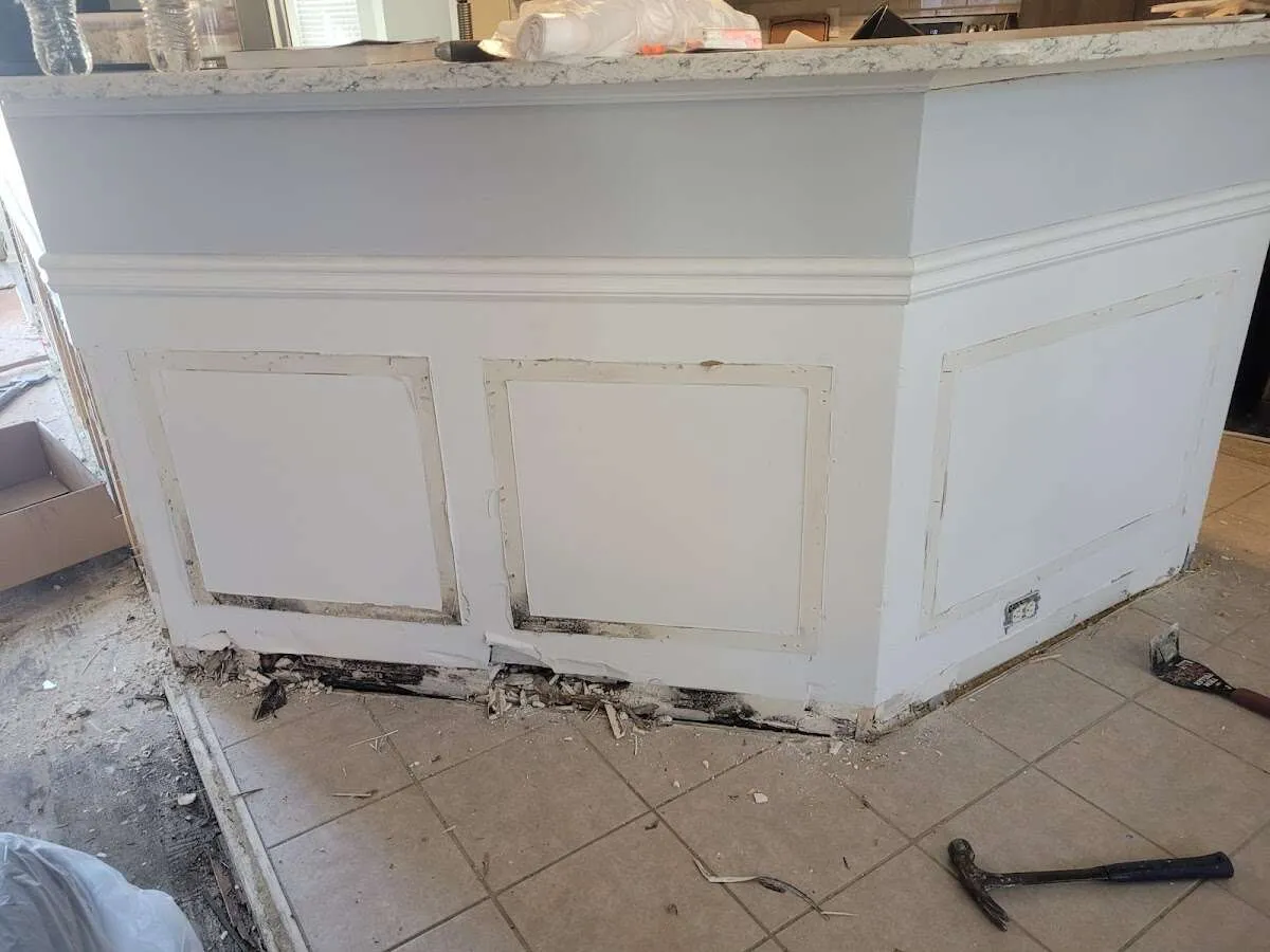 Water damage and mold on kitchen during Sewage Cleanup & Sanitation in Daytona Beach